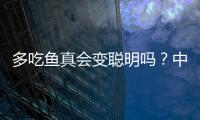 多吃鱼真会变聪明吗
？中国科学家给出定论丨硬核唠科