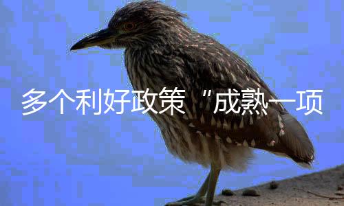 加强就业公共服务等举措