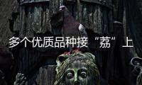 多个优质品种接“荔”上市，斗门今年荔枝总产量将达4500吨