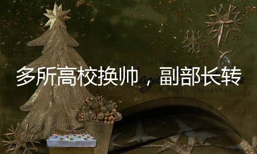 换帅在武汉水利电力大学任职
