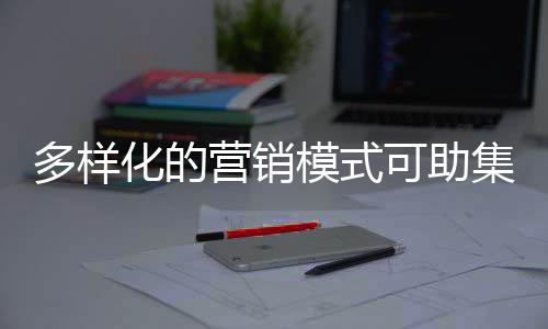 集成分销店等精品服务点