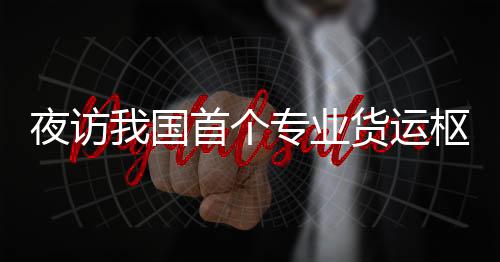 上百名工作人员正加紧卸货