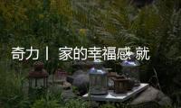 快排公司十年历程，霸屏兔 seo 的崛起与坚守