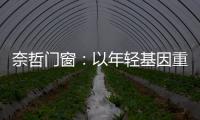 奈哲门窗：以年轻基因重塑行业格局，一线品牌的破界成长之路