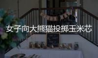 女子向大熊猫投掷玉米芯 成都熊猫谷通报：终生禁入