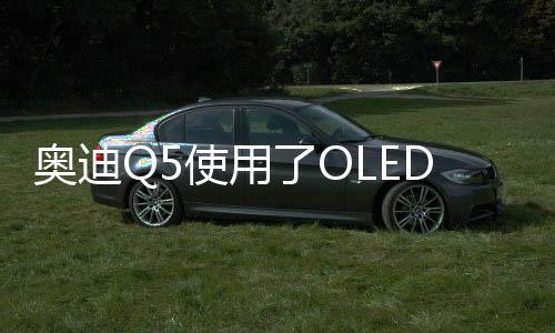 为了从前面强调Q系特质