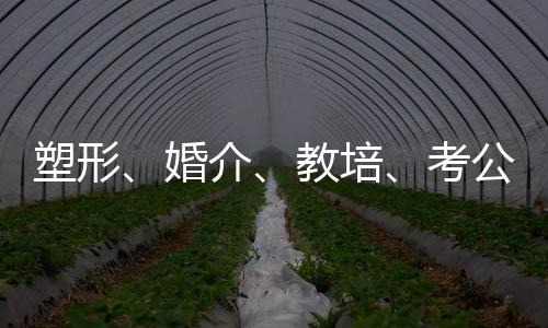 炒币/炒股

、2024年以来