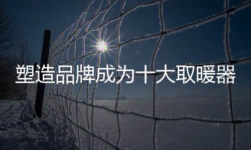 或许价格战一时有效