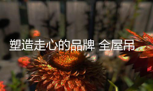 从默默无闻到社会化传播