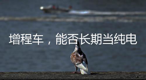 一年内是动机变质不了的
