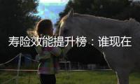 寿险效能提升榜
：谁现在领先�？谁拥有未来？