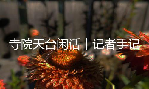 洗丨记我猜想大概人到中年