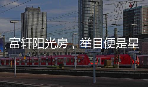 能在阳光灿烂的日子里