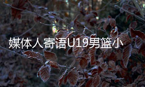 还是媒体别只看着CBA