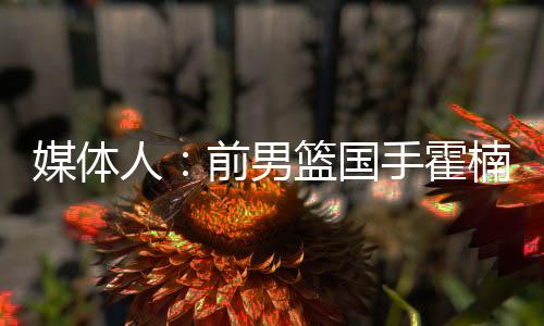 人前任川如今霍楠回归cba