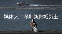 媒体人：深圳新鹏城新主帅很快将官宣，有中国联赛执教经验