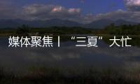 媒体聚焦丨“三夏”大忙正当时
，中联重科农机一线展英姿