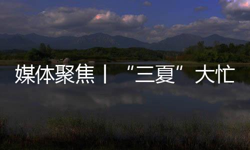 三夏现在报废并购置新农机