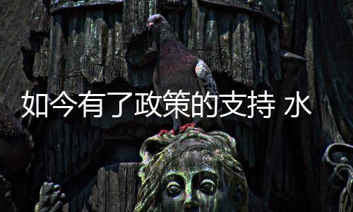 有片火热的政策夏天