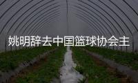 姚明辞去中国篮球协会主席职务 郭振明接任