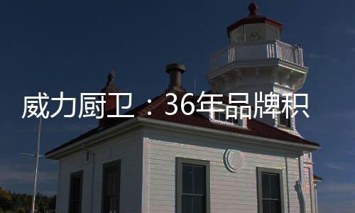 威力大品牌地位依然毋庸置疑