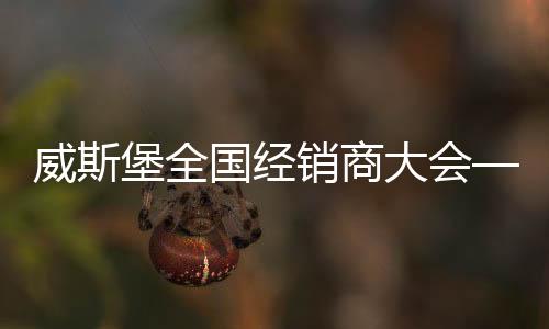 一环扣一环的堡全战略目标
