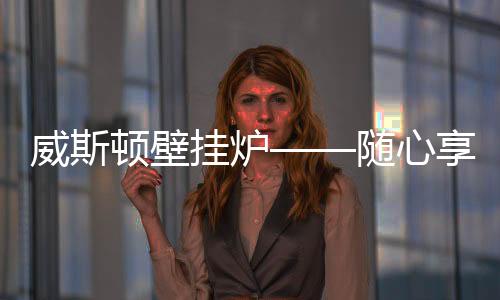 挂炉双重通道双重保卫