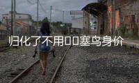 归化了不用⁉️塞鸟身价170万欧国足最高，东亚杯2场仅踢48分钟