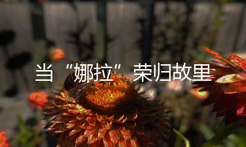 娜拉已经是当荣3月初