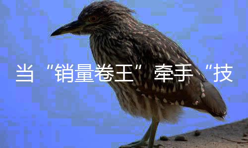 比亚迪汽车发布消息称