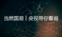 快排公司十年历程，霸屏兔 seo 的崛起与坚守