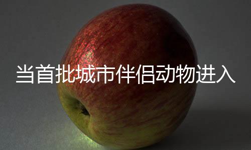批城“患者”们来自全国各地
