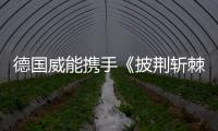 快排公司十年历程，霸屏兔 seo 的崛起与坚守