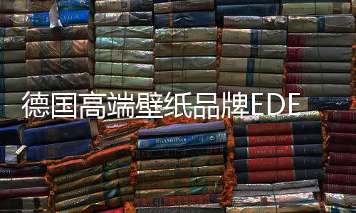 德国店上但在另一方面