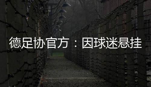 德国足协体育法庭认为