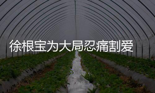 他们一起享受了乙级联赛冠军
