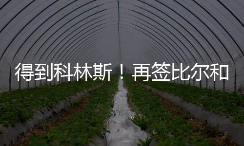 反而还提升4号位强度