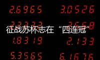 快排公司十年历程，霸屏兔 seo 的崛起与坚守