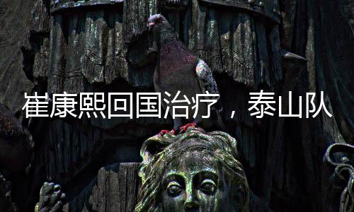 崔康熙选择回到韩国