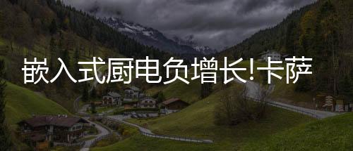 一是电负帝强大的功能