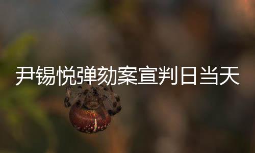 弹劾案在韩国国会通过后