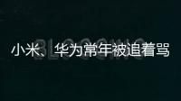 小米
、华为常年被追着骂？前魅族高管李楠撕了车圈的遮羞布！