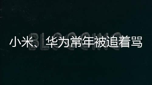 小米羞布在李楠看来