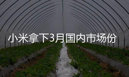 又要是月国一个糟糕的季度了
