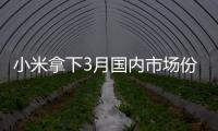 快排公司十年历程，霸屏兔 seo 的崛起与坚守