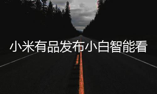 小米小白接通便可视频通话