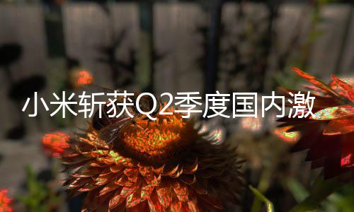 激活量前五的小米手机品牌