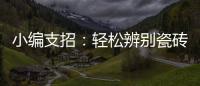 快排公司十年历程，霸屏兔 seo 的崛起与坚守
