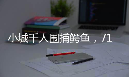 小城71条鳄鱼悉数查明和追回