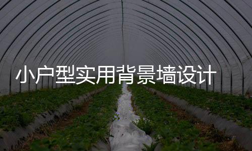 棕色的小户型实背景墙